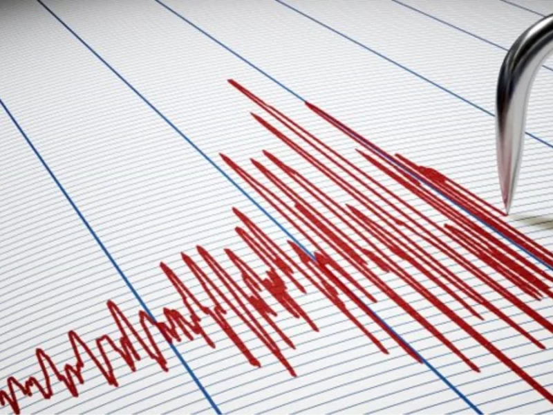endüstriyel gayrimenkullerde  deprem için nasıl tedbirler almalıyız